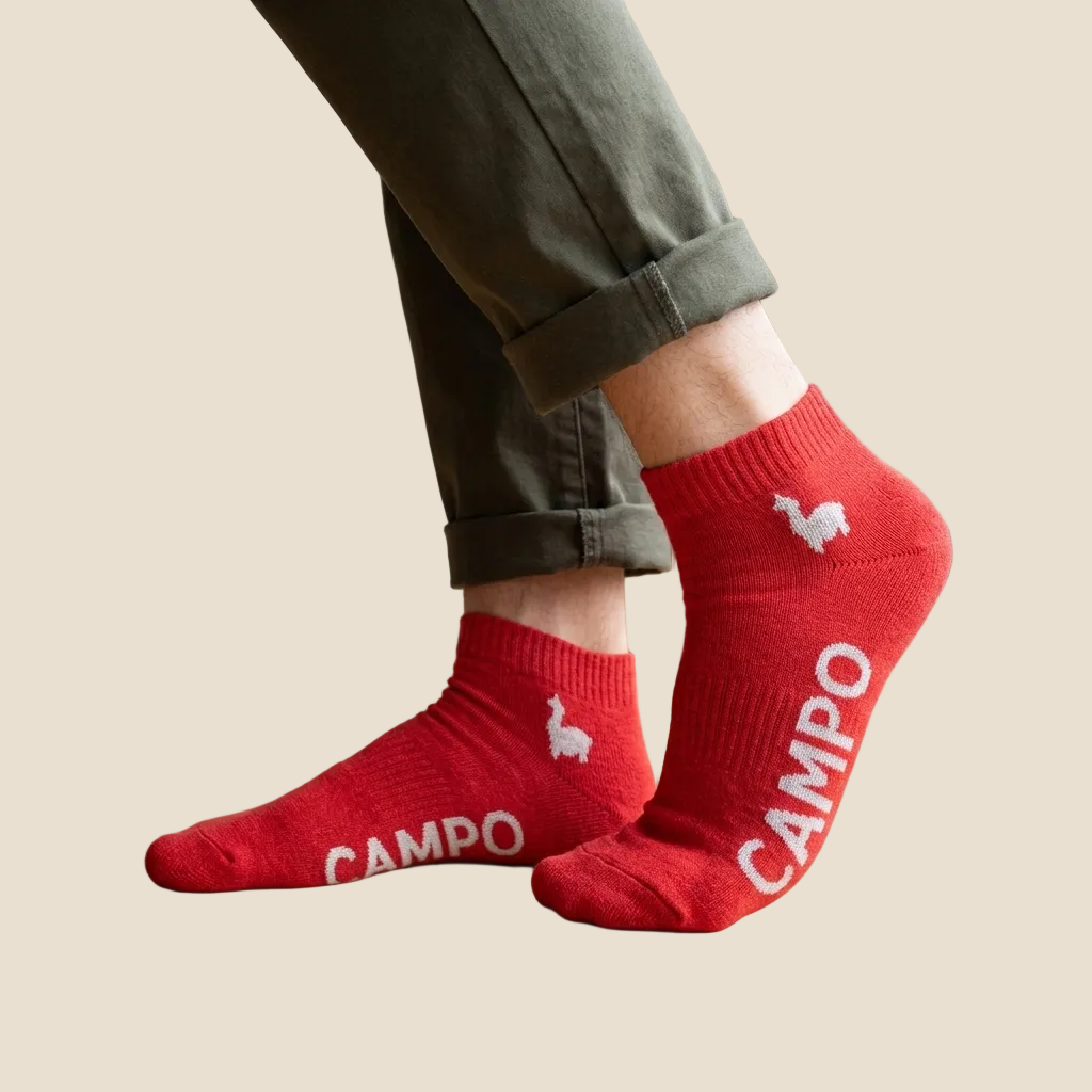Alpaca Anklets Socks