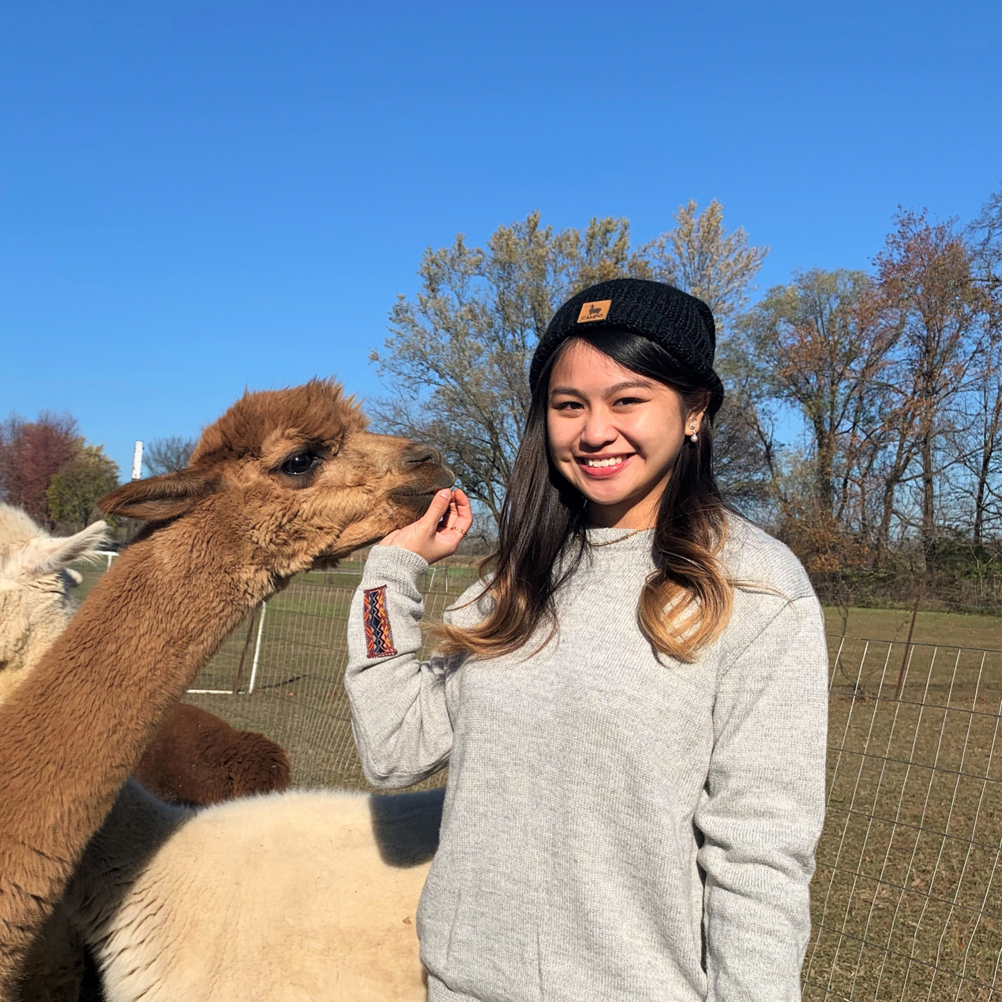 Alpaca Beanie