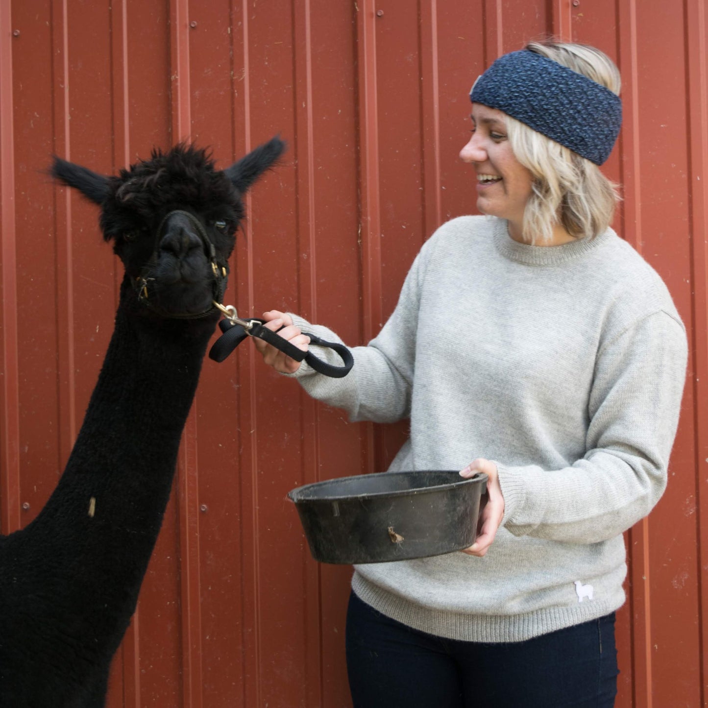 Woman wearing light gray feeding an alpaca in front of a red barn.