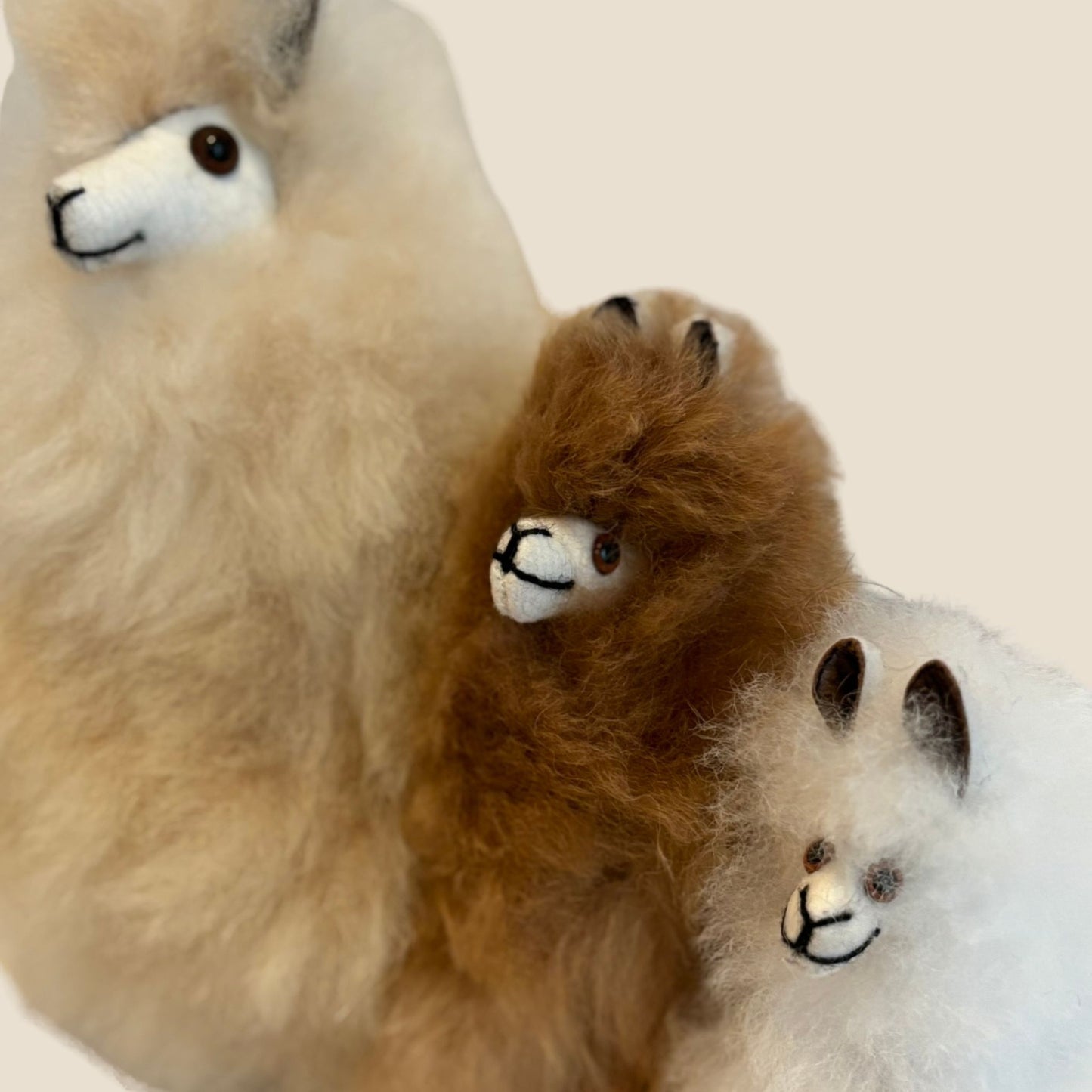 Three plush alpaca toys in different colors on a beige background