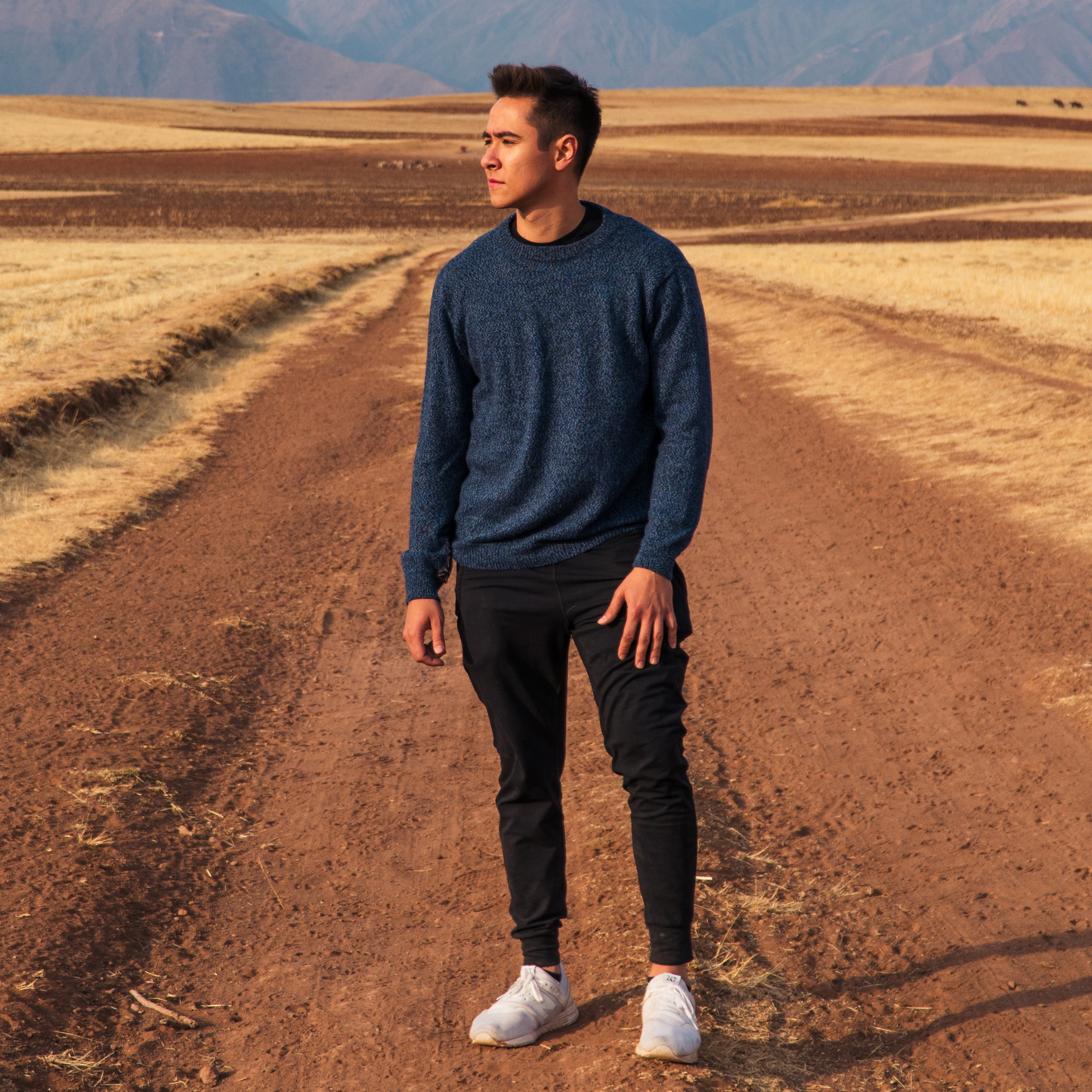 Alpaca Crew Neck Sweater