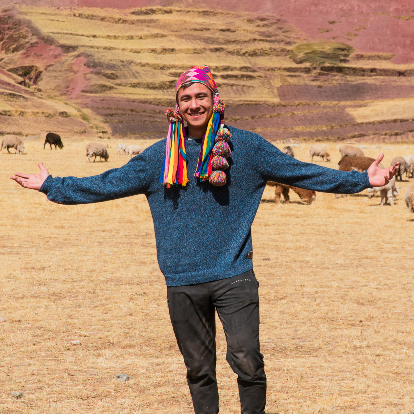 Alpaca Crew Neck Sweater