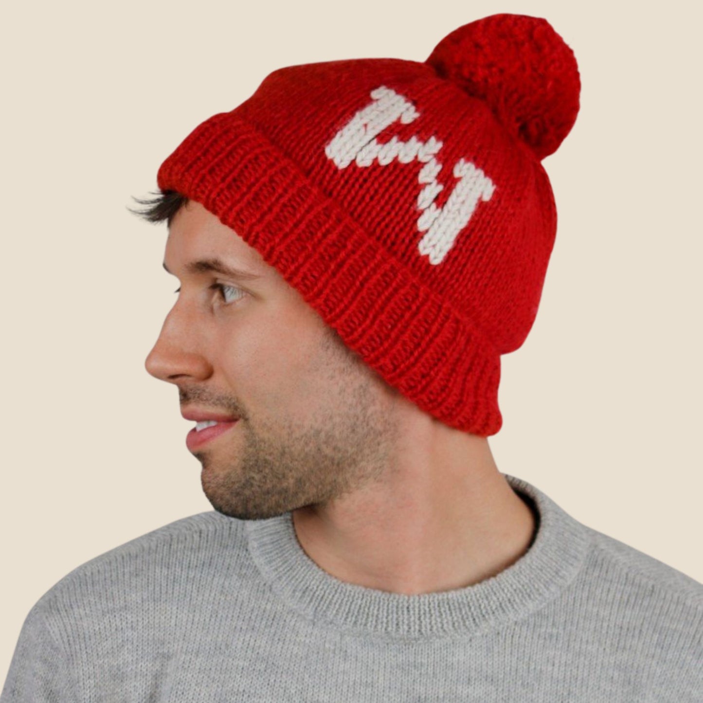 Wisconsin Alpaca Beanie