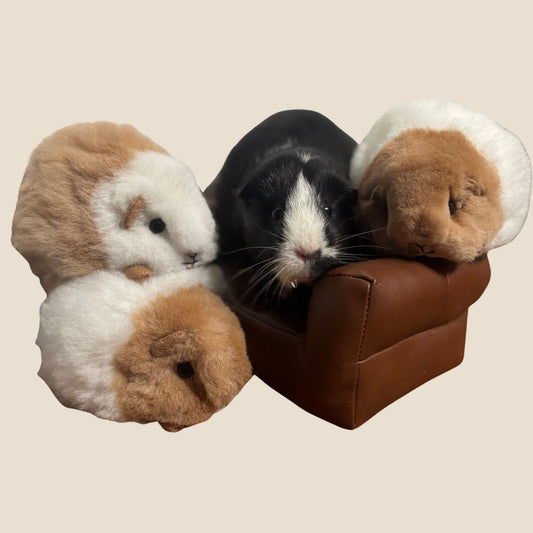 Four plush toy guinea pigs on a small brown couch against a beige background