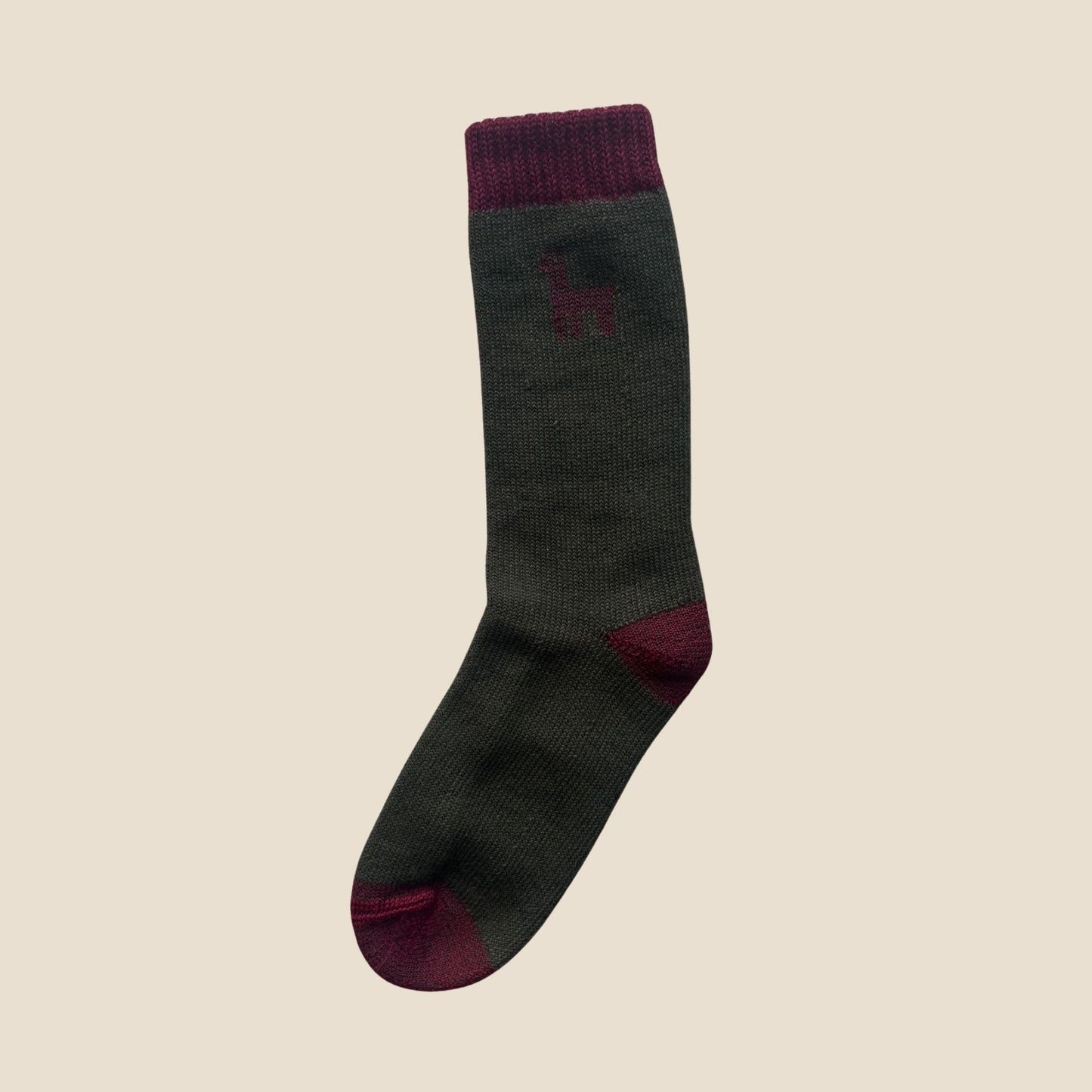Dark gray sock with maroon accents on a beige background