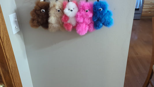 Teddy Bear Key Chains