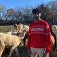 Man wearing a red 'Wisconsin' sweater standing among alpacas outdoors.