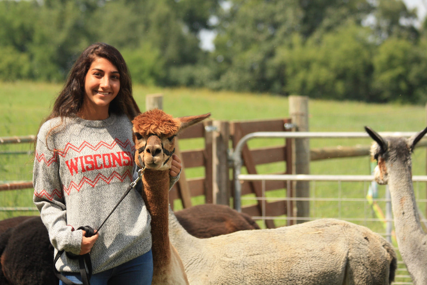 Girl in Salt and Paper Wisconsin Crew Neck with Alpaca